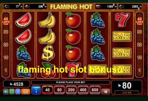 flaming hot slot bonusu
